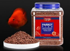 Makanan Ikan Parrot 