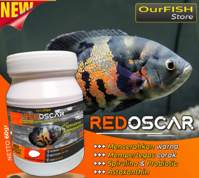 Makanan Ikan Oscar